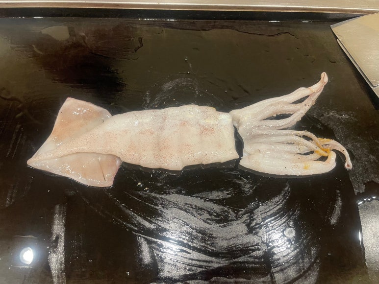 철판 위에 올려진 오징어 구이 재료의 조리 전 모습