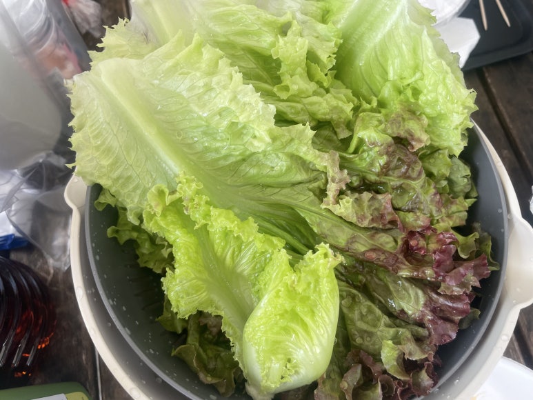 고기와 함께 먹는 상추 한 줌