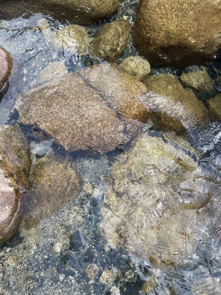 Clear view of stones underfoot in Kanzakigawa