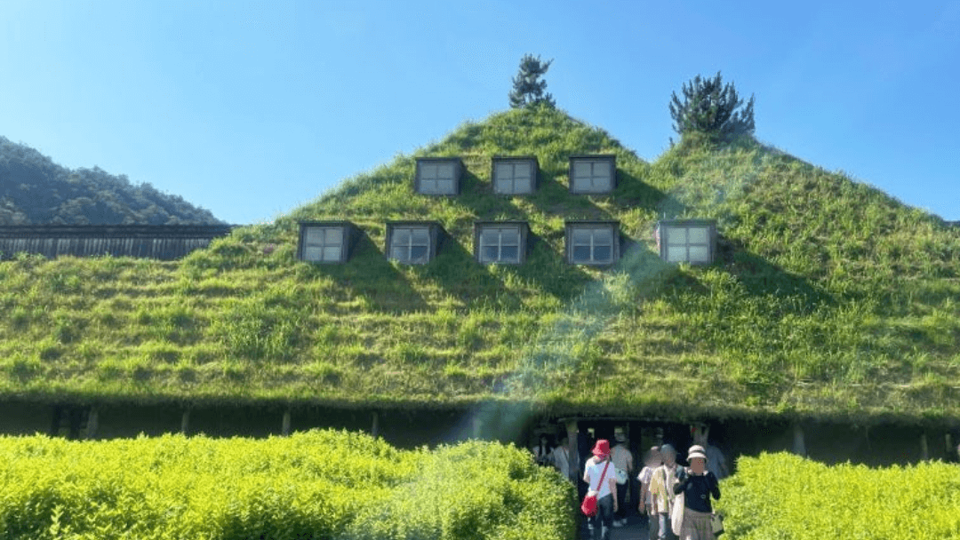 The grass-covered exterior of the La Collina Omihachiman Main Shop, a flagship store in Shiga Prefecture, Japan