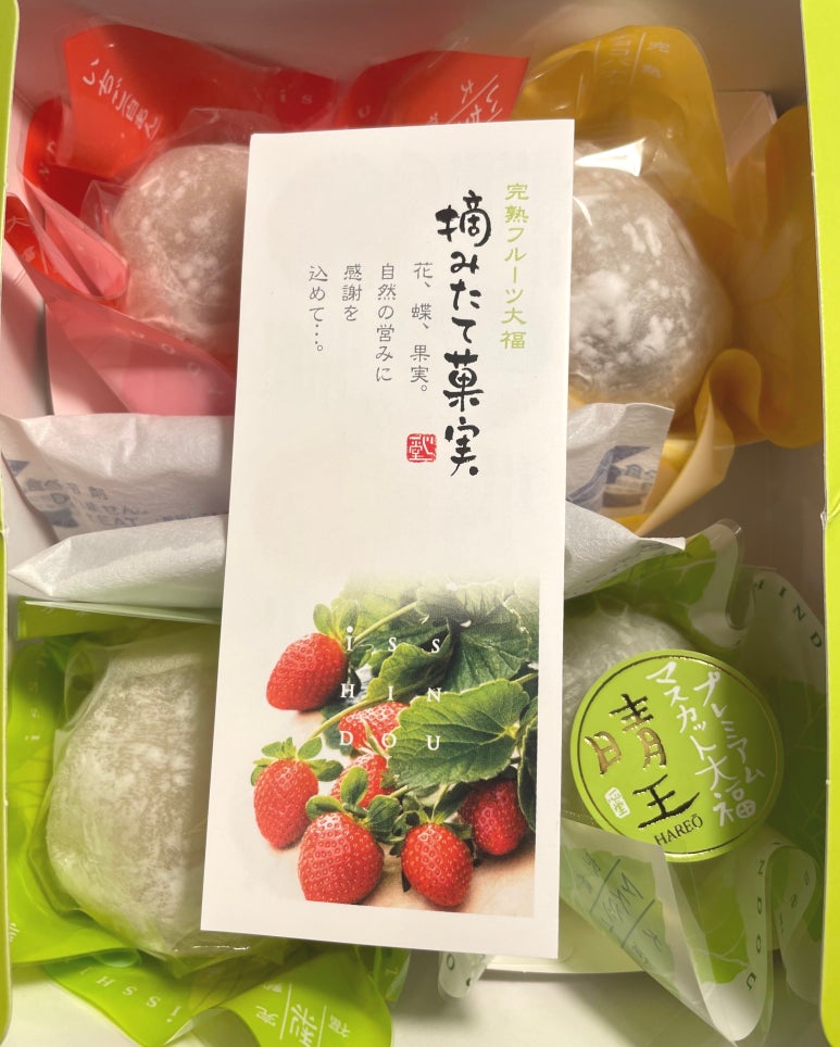 A box containing Isshindo fruit daifuku and a brochure