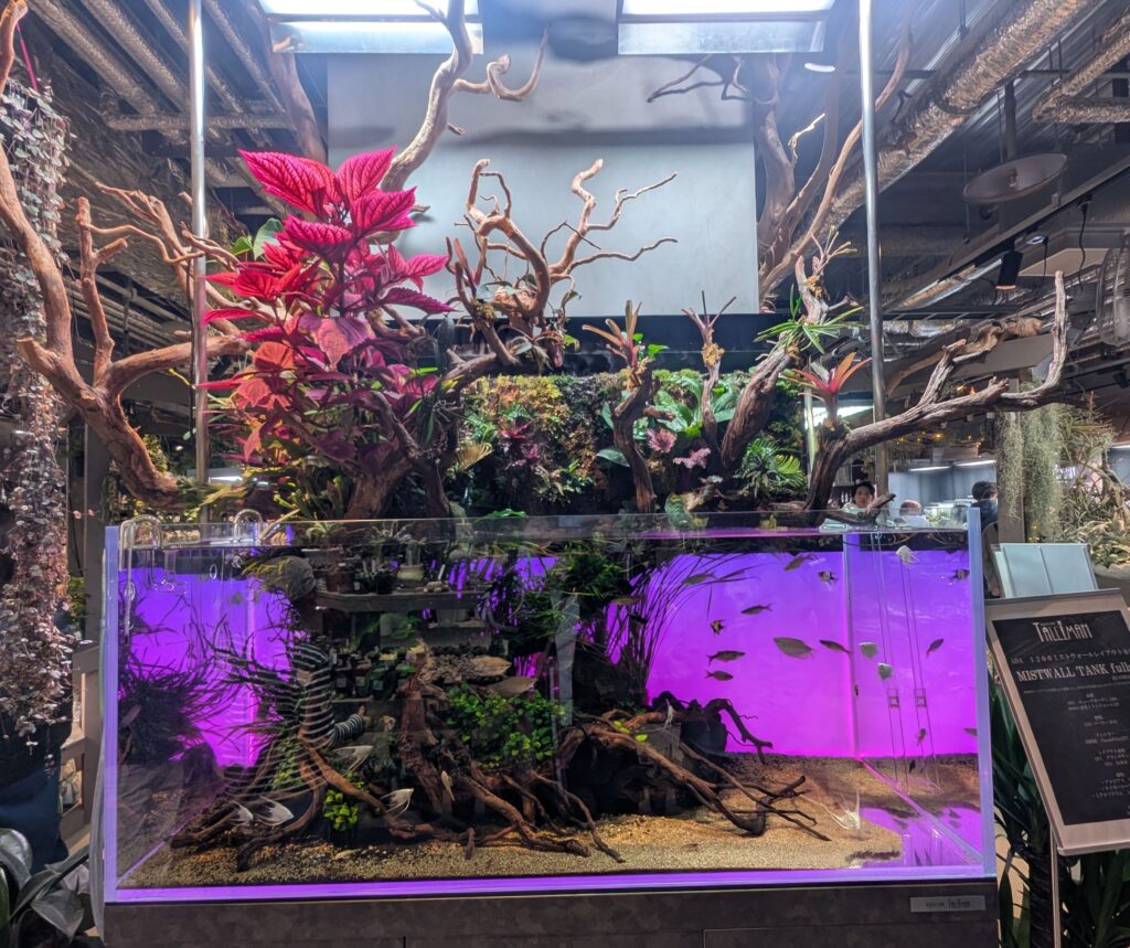 大型水草レイアウト水槽