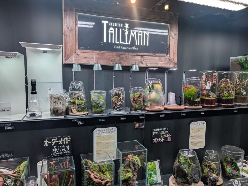 Terrarium display section