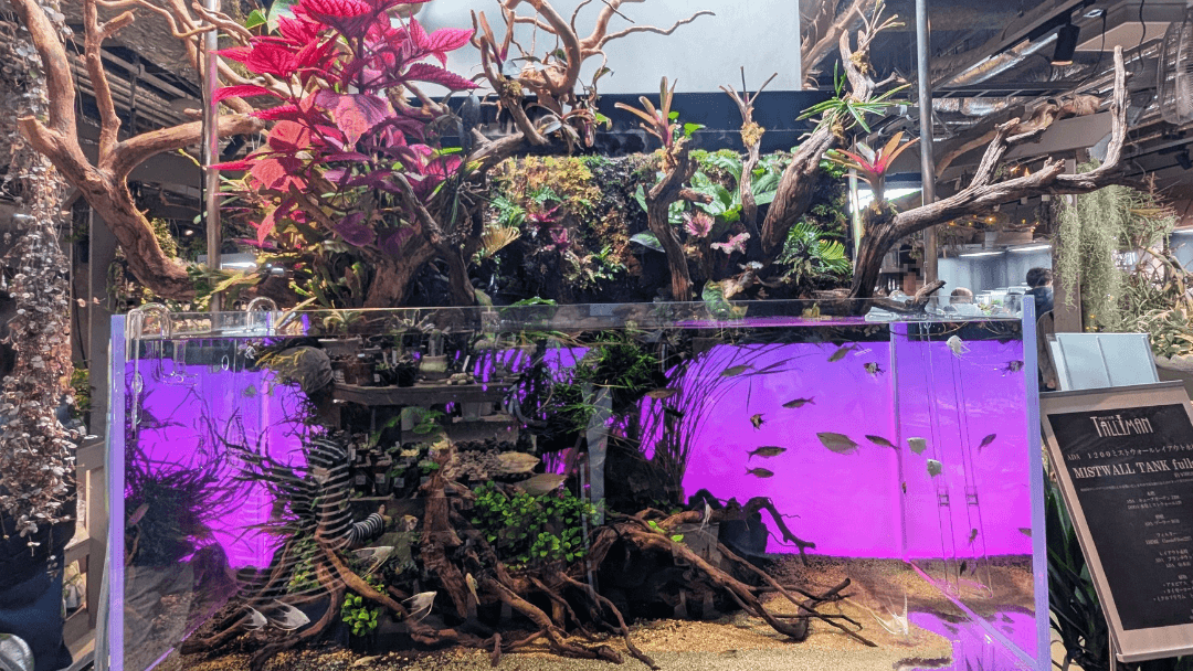 오사카 우메다 그랑그린 북관의 코우난 홈센터 가든즈 우메키타에 전시된 대형 수조와 관엽식물이 결합된 레이아웃 공간
