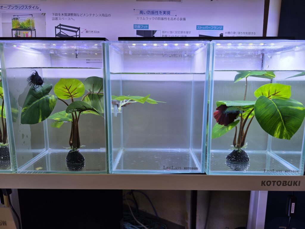Betta aquarium supplies for sale