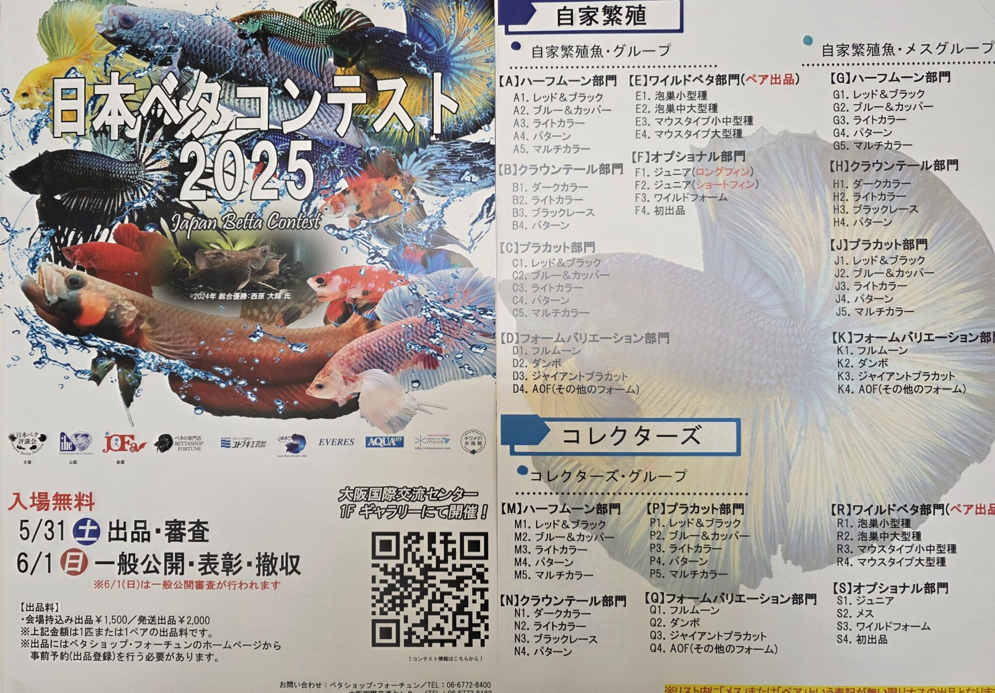 Japan Betta Contest 2025: Betta Fish Photos from My Visit | LY's story
