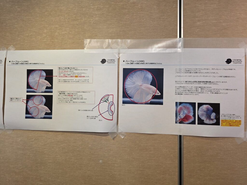 IBC judging standards information